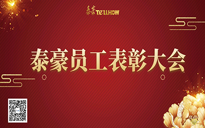 泰豪表彰 | 一路同行，“云”享慶典~