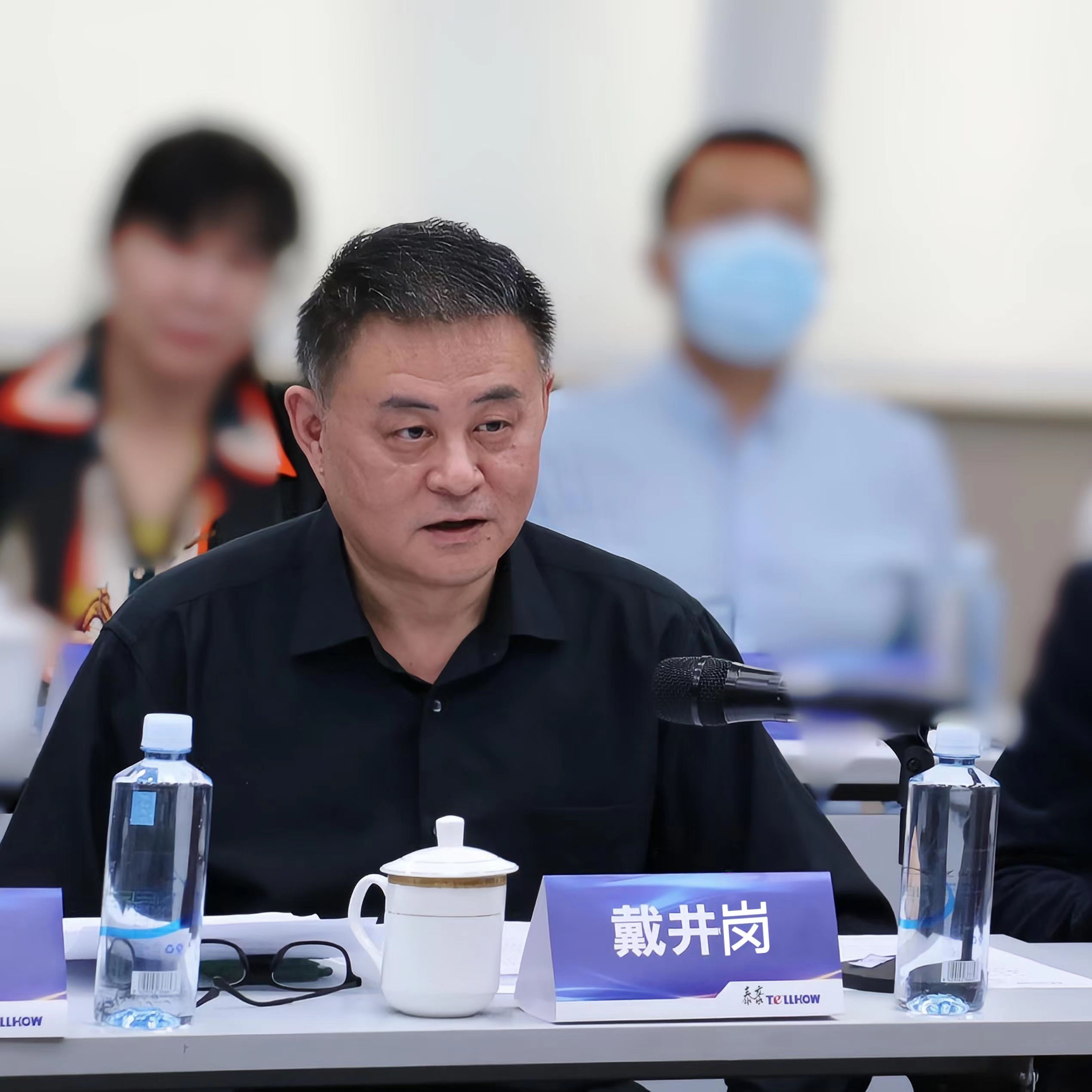 戴井崗.jpg 戴井崗.jpg